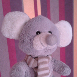 A mouse, profile picture of Midgard